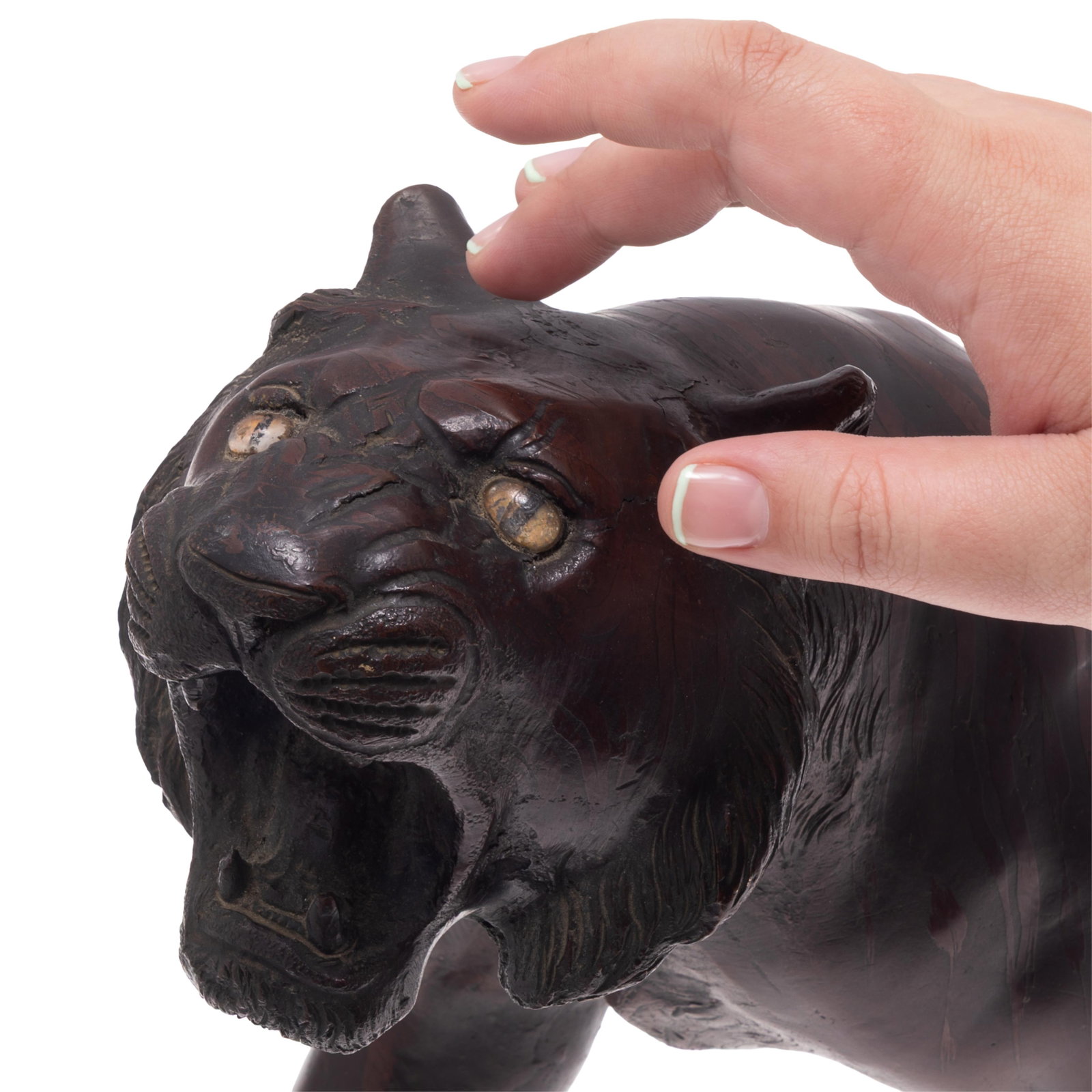Bronze Panther - 11