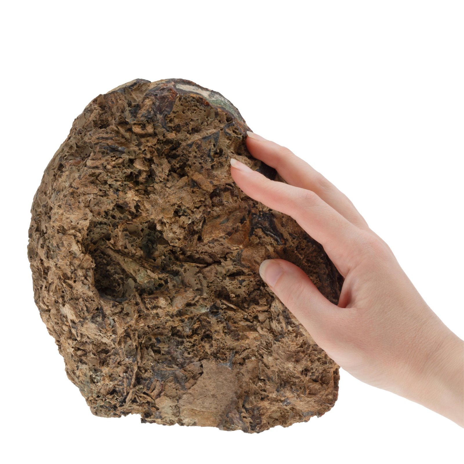 Agate Geode - 6