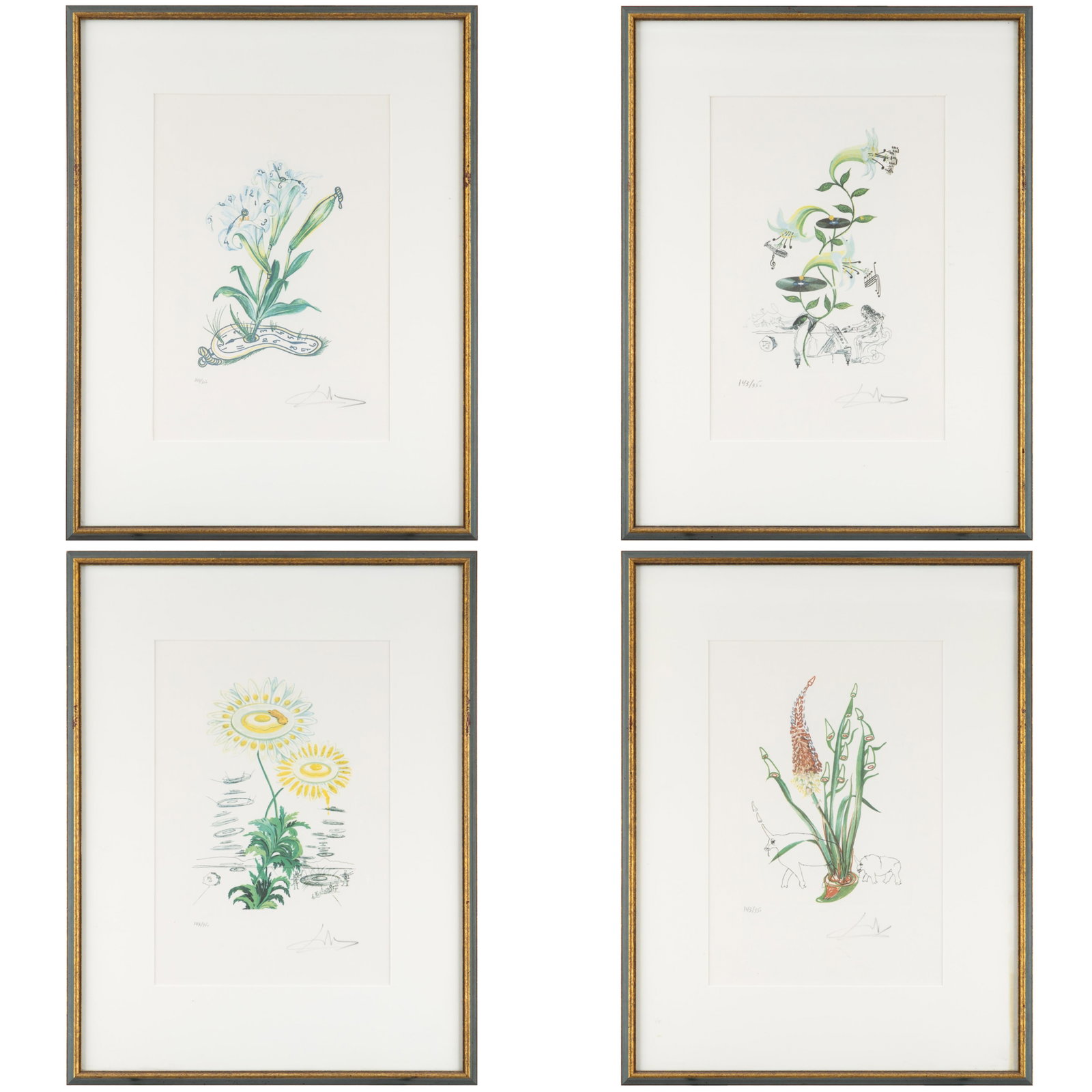 After Salvador Dali (Spanish, 1904-1989): After Salvador Dali (Spanish, 1904-1989) Four Plates, from Flora Dalinae, circa 1968. Four offset color lithographs on wove paper, signed in pencil, each numbered 143/350, with margins, each framed.