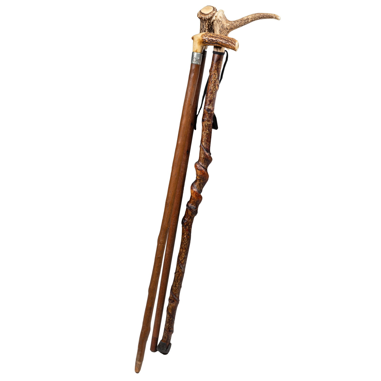 Antler Handled Canes (1 of 4)