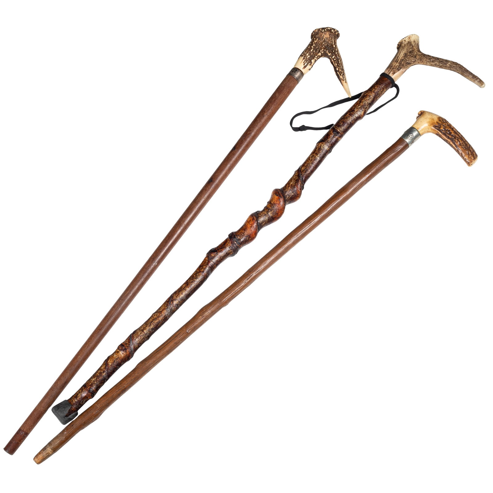 Antler Handled Canes - 2