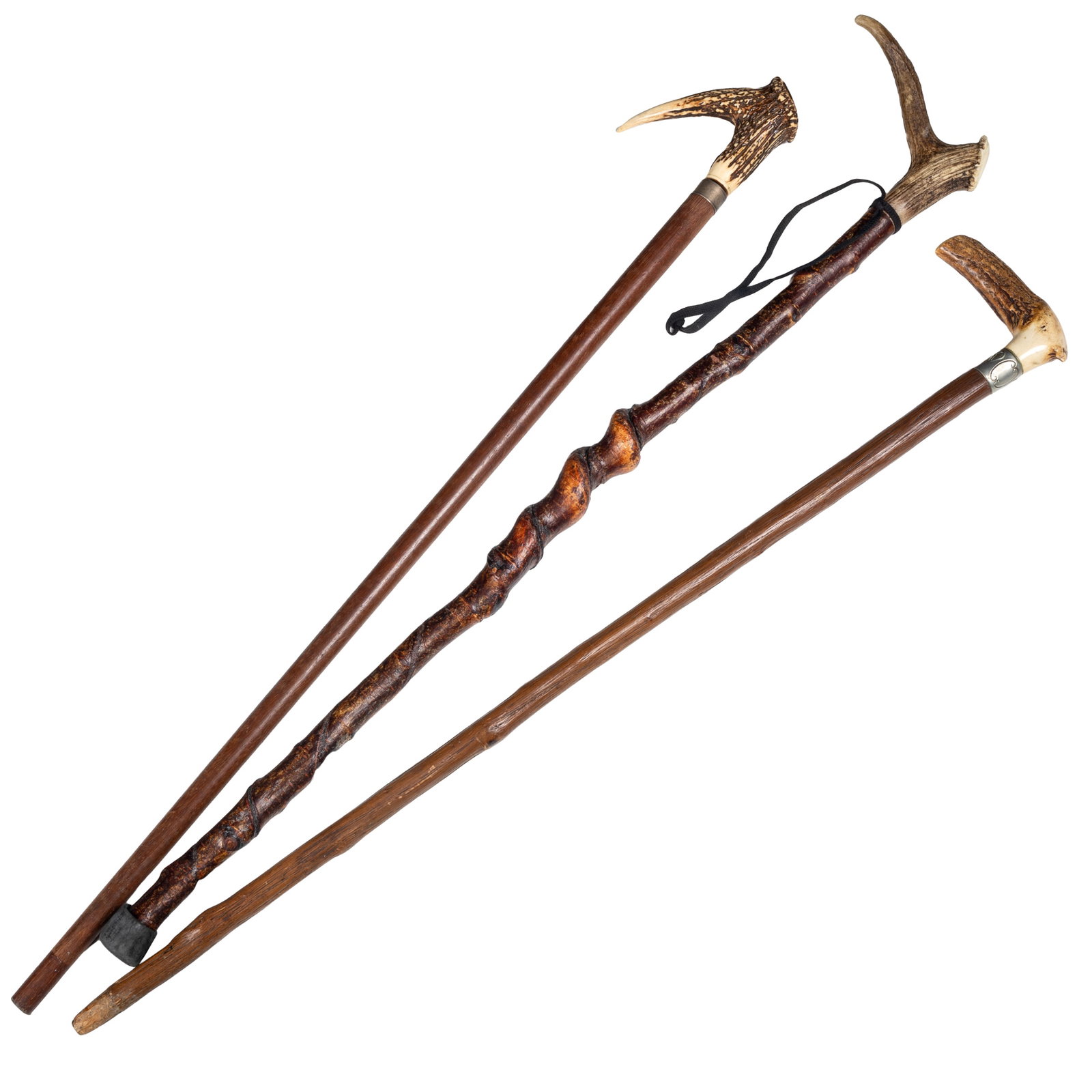 Antler Handled Canes - 3