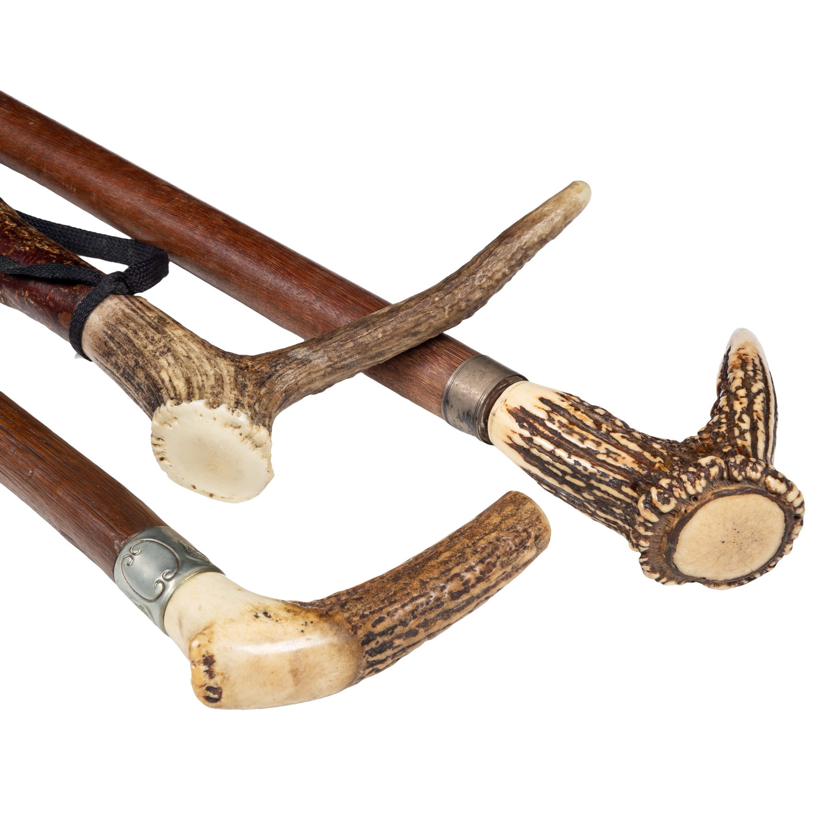 Antler Handled Canes - 4