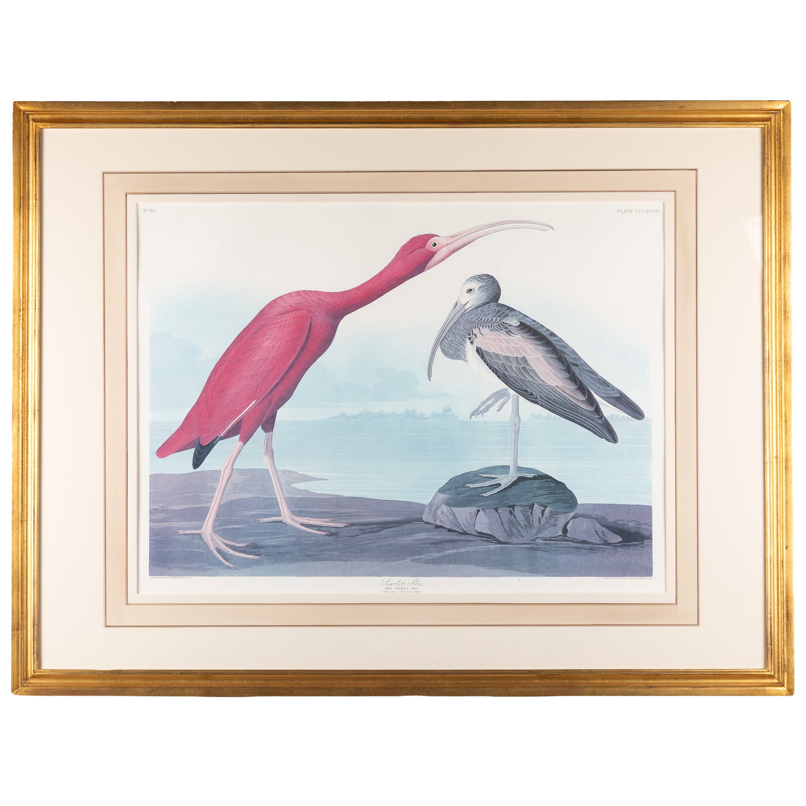 After John James Audubon (American, 1785-1851).: After John James Audubon (American, 1785-1851). Scarlet Ibis, Plate CCCXCVII. Facsimile color lithograph from the Amsterdam edition of the Birds of America, published in 1971 by Theatrum Orbis Terraru