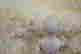 item-67021152=2