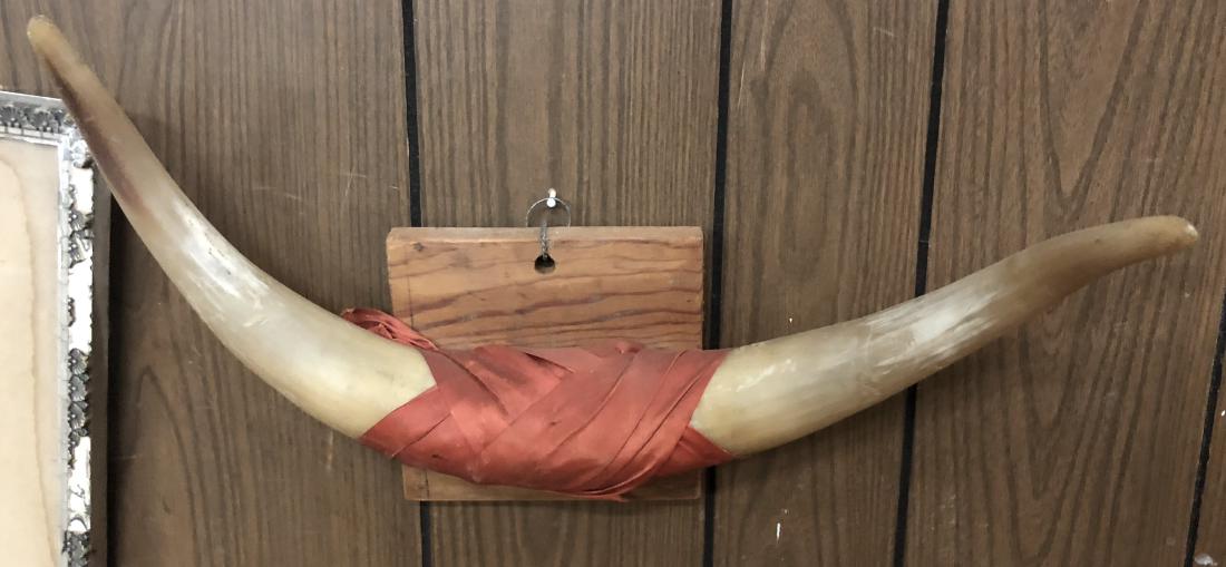 Antique Wood Mounted Steer Horn (1 of 1)
