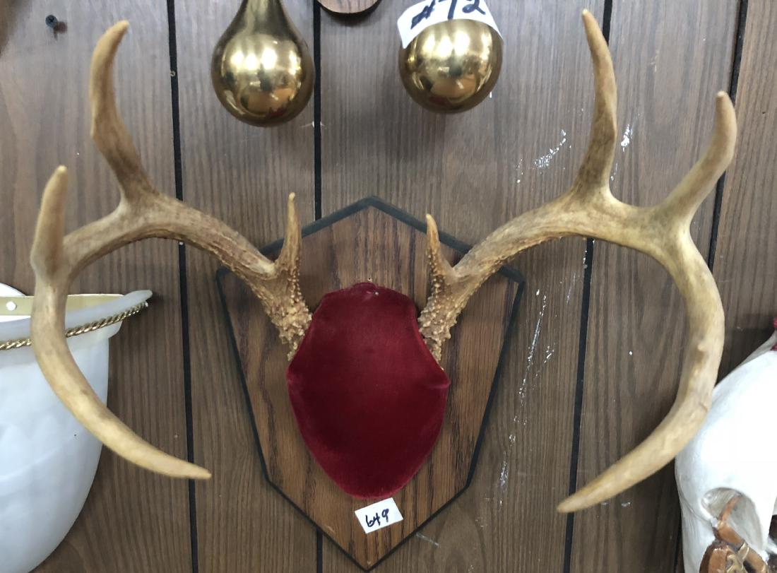 Original Authentic Deer Antlers on wood base: deer antlers on wooden base and felt mount.