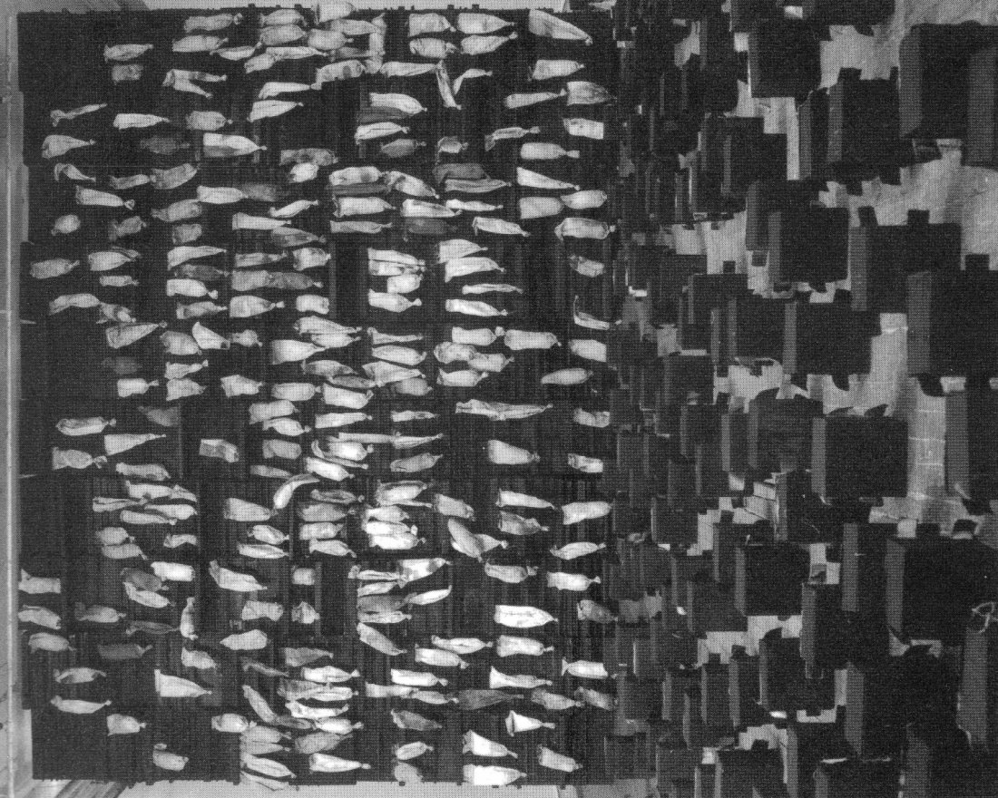 LEONARDO DREW TREAD WAXING SPACE PUBLICATION 1994: LEONARDO DREW TREAD WAXING SPACE PUBLICATION 1994