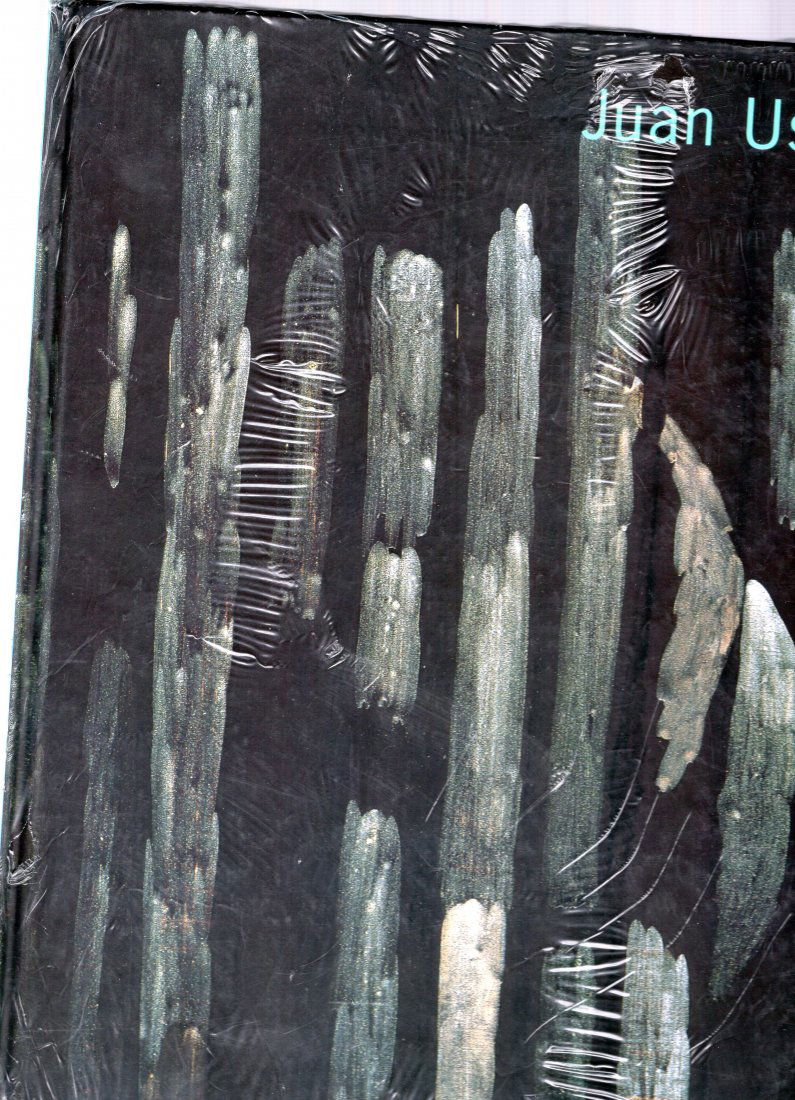 Juan Uslé: Blind Entrance (1 of 1)