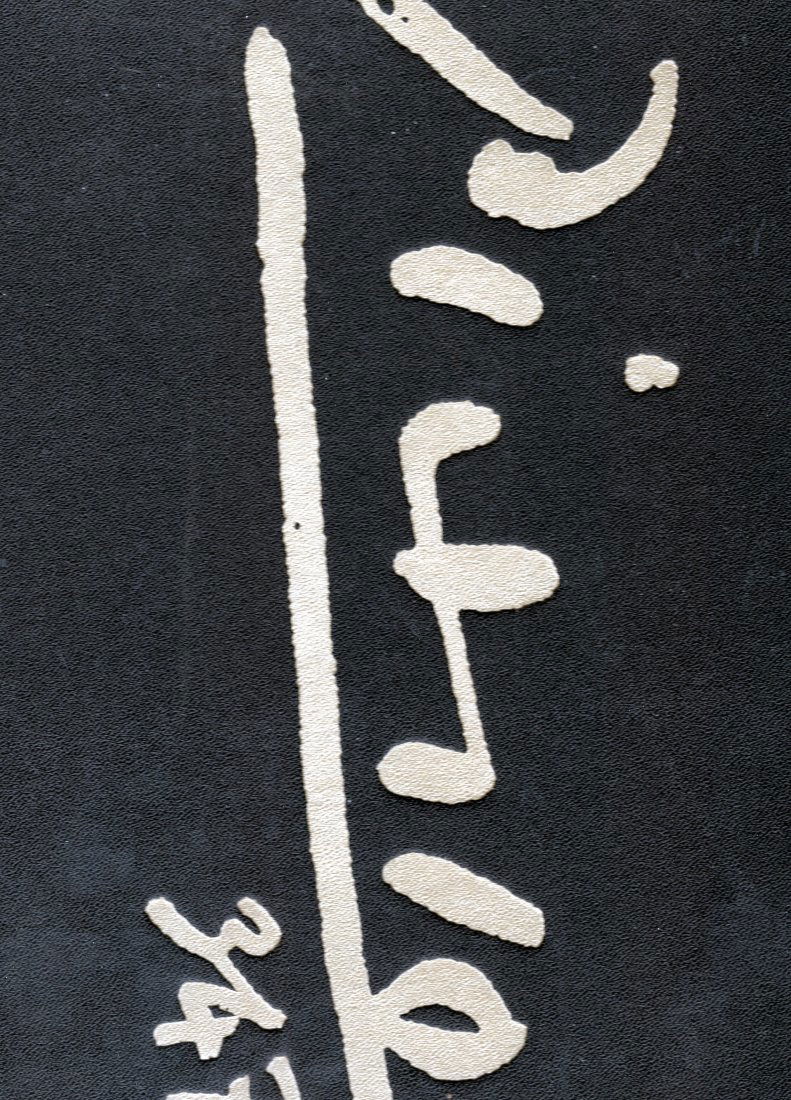 Picasso 347 Picasso, Pablo First edition 2 books (1 of 2)