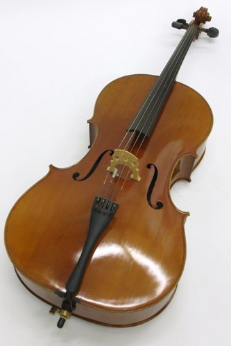 SAMUEL EASTMAN CELLO, MODEL VC100, 4/4 size (5