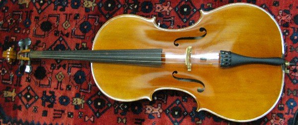 SAMUEL EASTMAN CELLO, MODEL VC100, 4/4 size (5 - 2