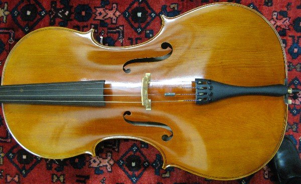 SAMUEL EASTMAN CELLO, MODEL VC100, 4/4 size (5 - 3