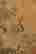 item-64454183=2