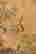 item-66210174=2
