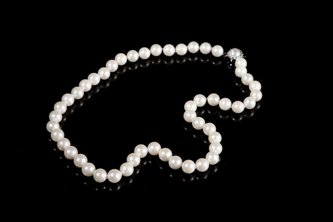 Mikimoto Pearl Necklace (1 of 2)