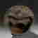 item-74192668=10
