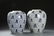 Pair of Chinese Blue and White Jars - 3