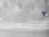 item-68084745=5