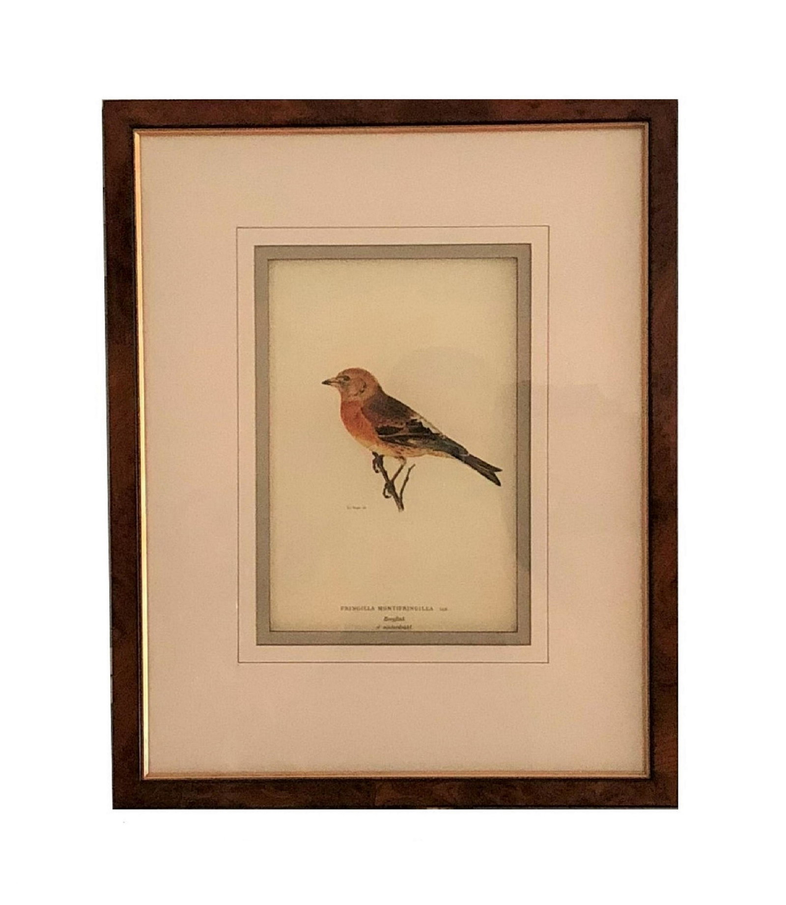Mid Century Decorative Bird Print (1 of 2)