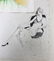 Itzchak Tarkay Original Color Etching - 3