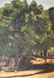 Oil on Canvas Painting. Signed Caridad Ramirez Medina - 2