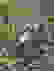 item-89356696=4