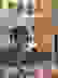 item-91088113=4
