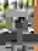 item-91088113=5