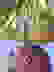 item-95624244=5