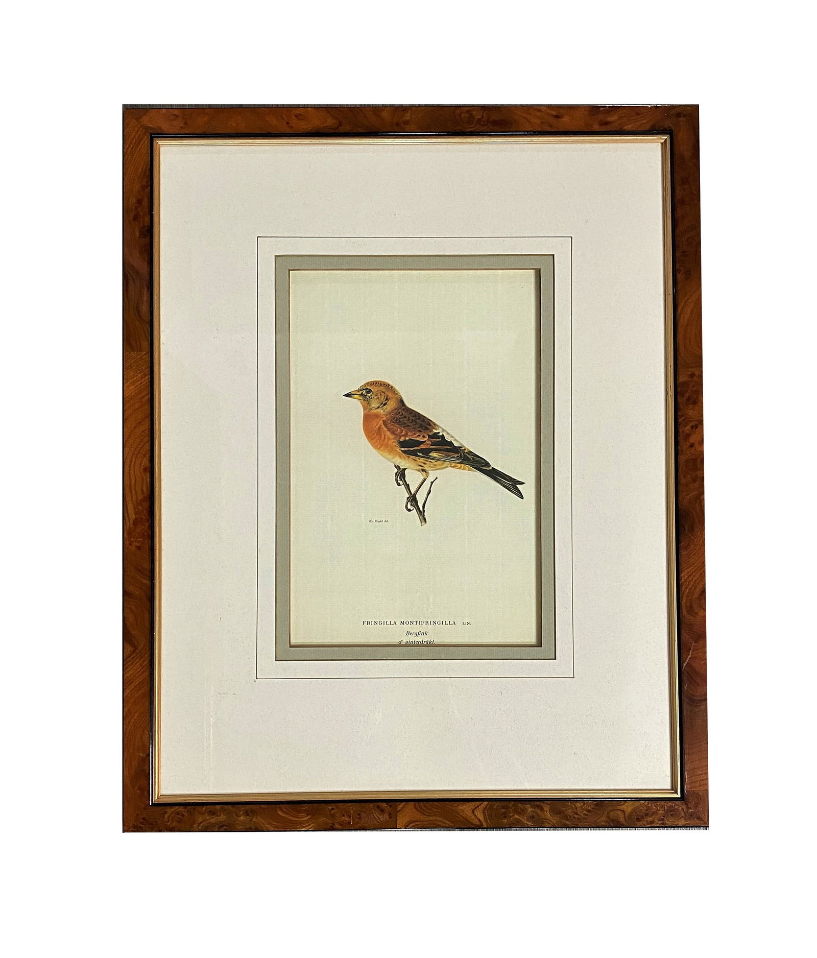 Mid Century Decorative Bird Print (1 of 3)