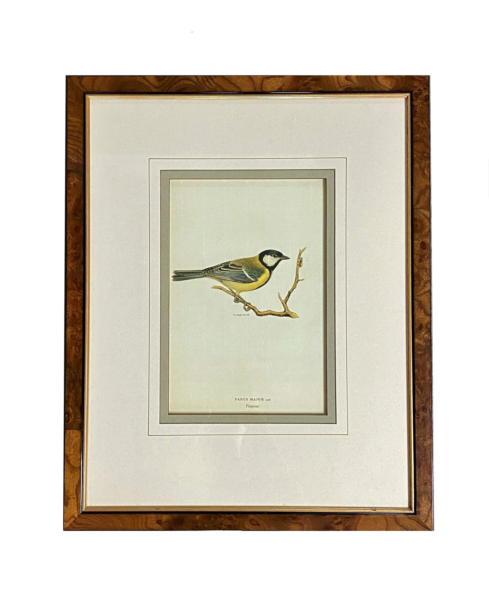 Mid Century Decorative Bird Print (1 of 3)