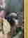 item-120537771=3