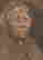 item-121102071=3