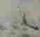 item-131191860=4