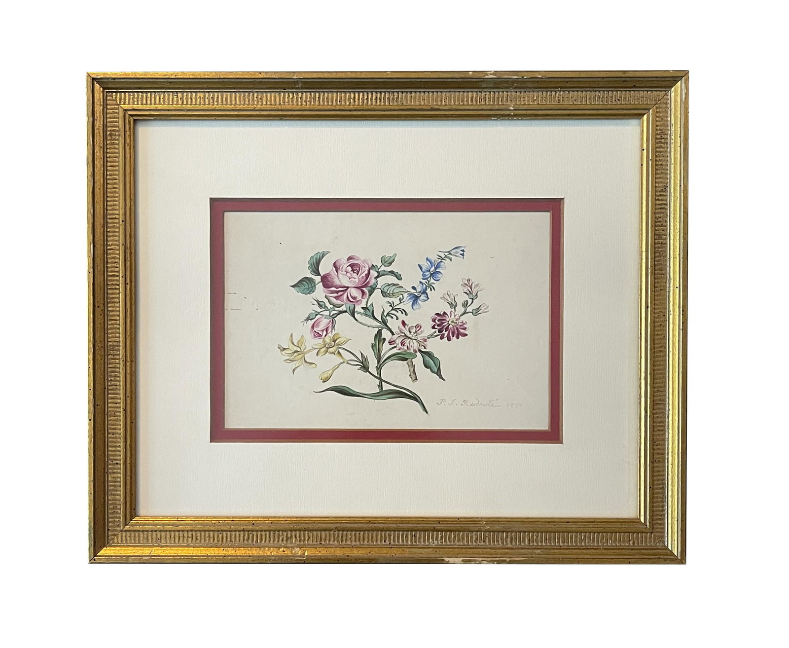 Pierre Joseph Redoute (1759 - 1840) Germany: Pierre Joseph Redoute (1759 - 1840) Germany Watercolor on Paper Measure 5 1/4"in H x 7 1/2"in W and 11 1/4"in H x 13 3/4"in W with frame Known for: Still life paintings, botanical illustration, teachi