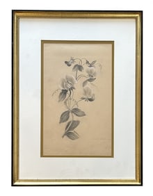 Joseph Stella (1877 - 1946) Italy