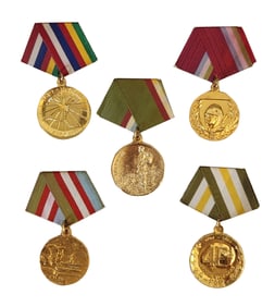 Lot of 5 Cuban Recognition Medals