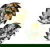 Pair of Chinese Famille Noire Porcelain Plates with Birds, Flowers & Fish Motifs