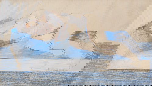 Donald Borthwick (20th Century) American