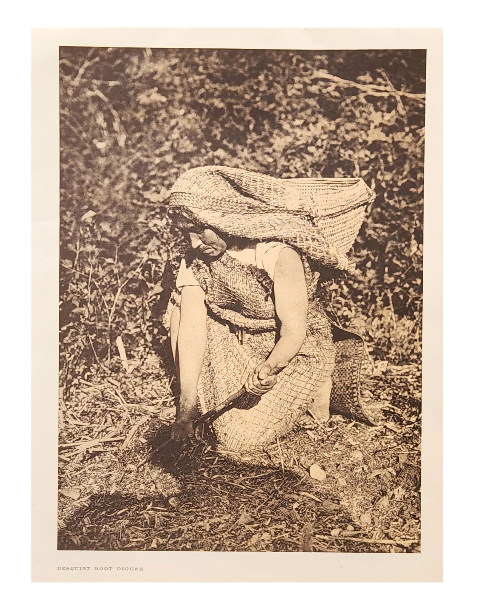 Edward Sheriff Curtis (1868 - 1952) American: Edward Sheriff Curtis (1868 - 1952) American Title: Hesquiat Root Diggers Print Caption - Engraving Date: 1915 Measure 13"in H x 18"in W no framed Nootka women very commonl