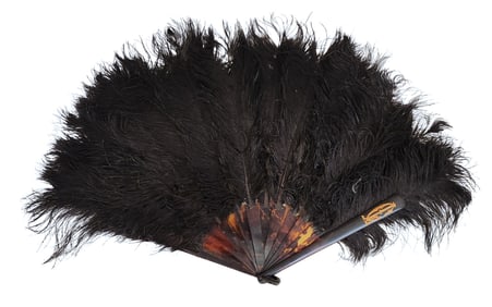 Antique Ostrich Feather Fan with Tortoiseshell-Style Sticks, Late 19th/Early 20th Century