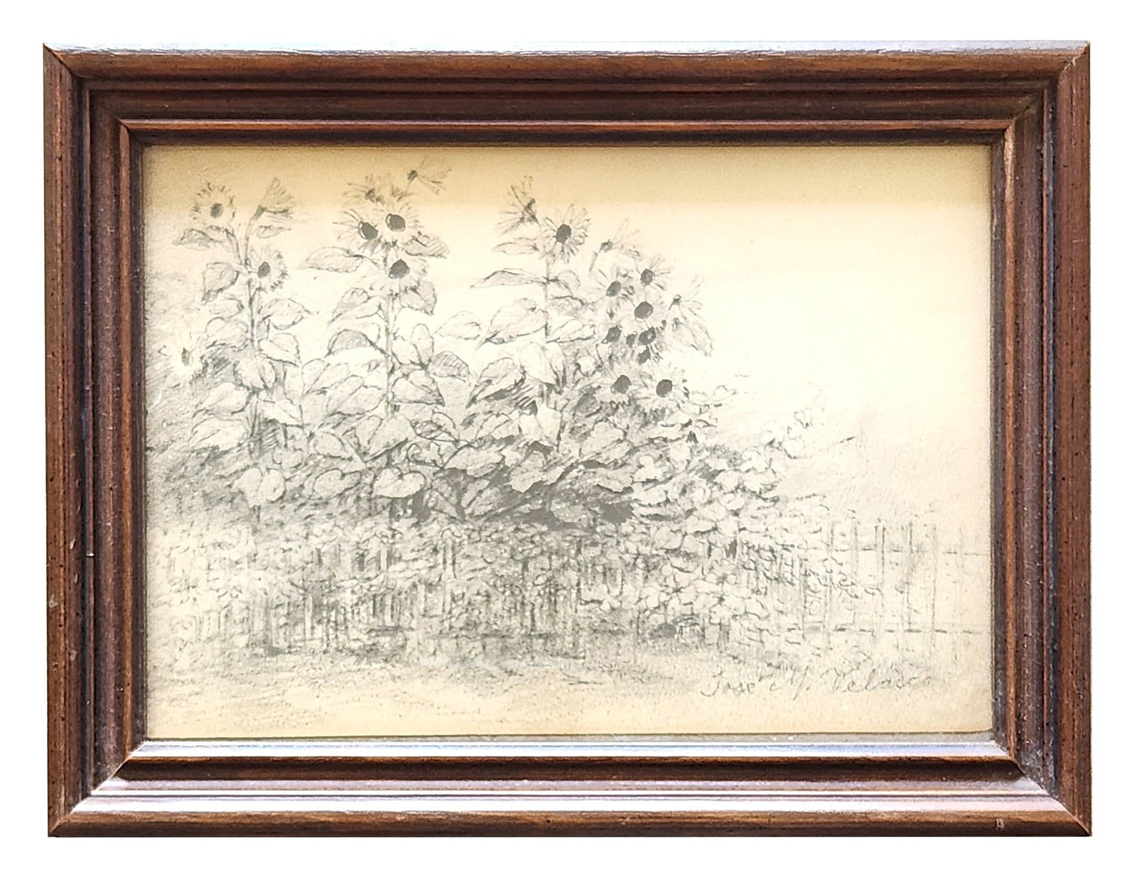 Jose Maria Velasco (1840 - 1912) Mexico: Jose Maria Velasco (1840 - 1912) Mexico Pencil on Paper Measure 4 1/2"in H x 6 3/4"in W and 6"in H x 8"in W framed Biography: He was one of Mexico's most important and accomplished landscape artists. 