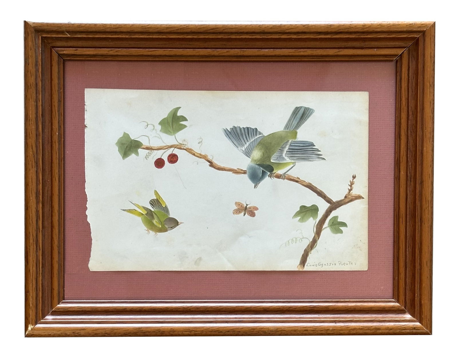 Louis Agassiz Fuertes (1874 - 1927) American (1 of 5)