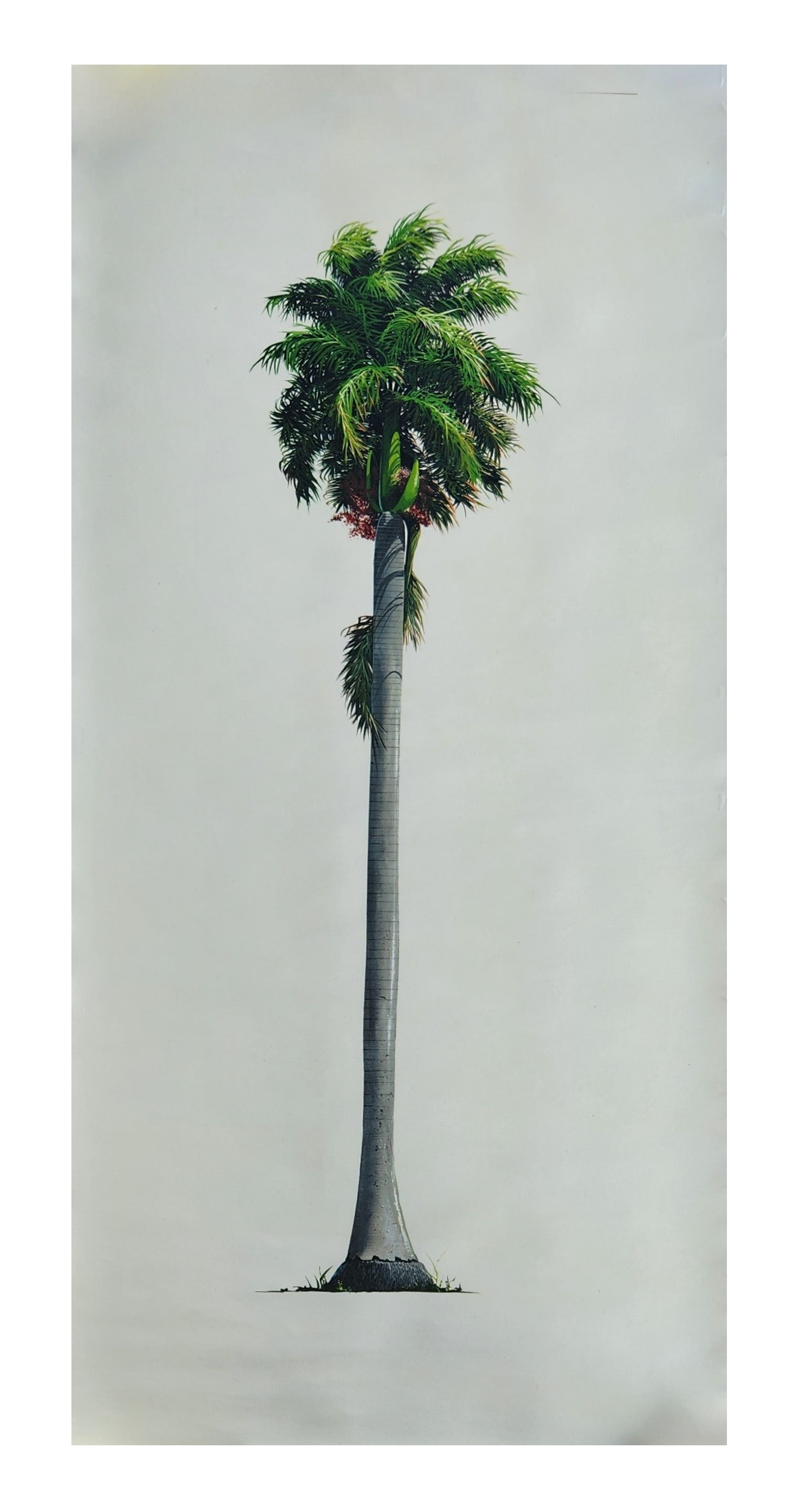 Rafael Mirabal (Born 1931) Cuba (1 of 4)