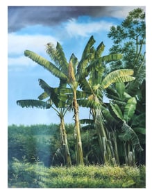 Israel Miranda Rodriguez (Born 1968) Cuba