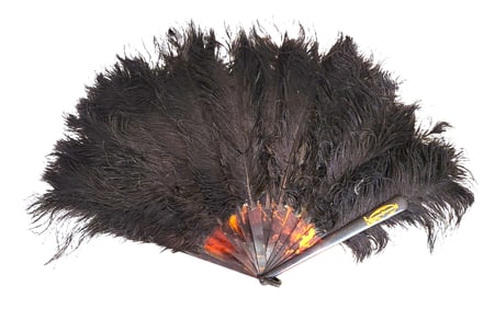 Antique Ostrich Feather Fan with Tortoiseshell-Style Sticks, Late 19th/Early 20th Century