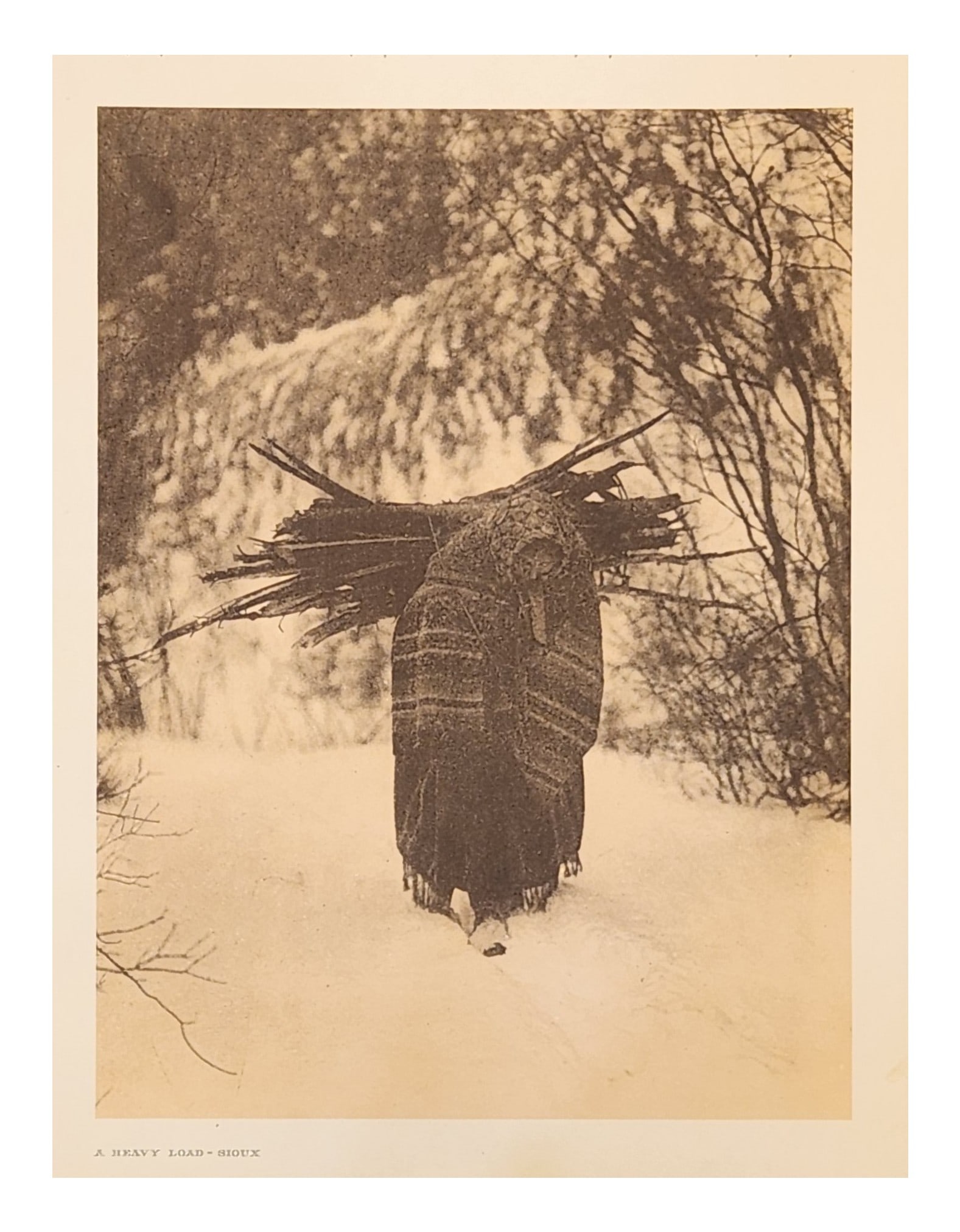 Edward Sheriff Curtis (1868 - 1952) American (1 of 4)