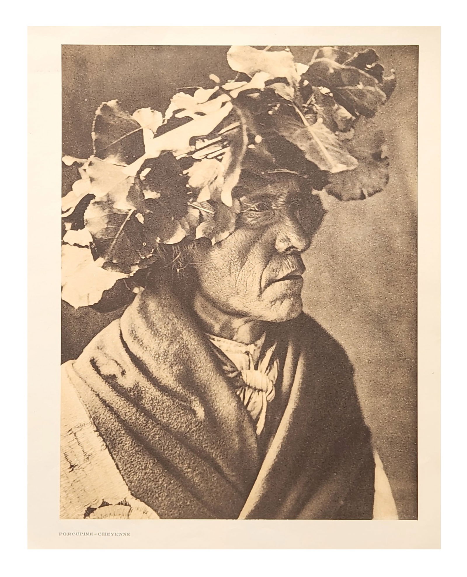 Edward Sheriff Curtis (1868 - 1952) American: Edward Sheriff Curtis (1868 - 1952) American Title: Porcupine - Cheyenne Print Caption - Engraving Date: 1910 Measure 13"in H x 18"in W no framed At the summer gatherings for such occasions