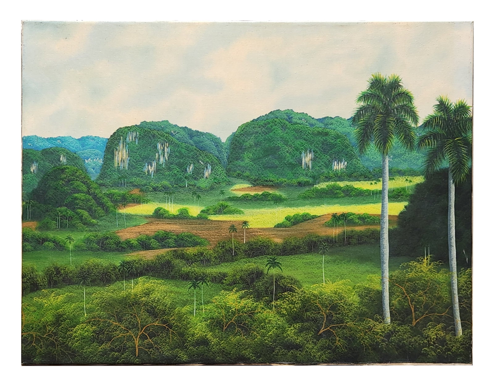 Cuban School Oil on Canvas – Lush Viñales Landscape with Royal Palms: A vibrant and finely detailed oil on canvas depicting the verdant countryside of Viñales, Cuba, likely by a mid- to late-20th-century Cuban school artist. The panoramic composition showcases rolling 